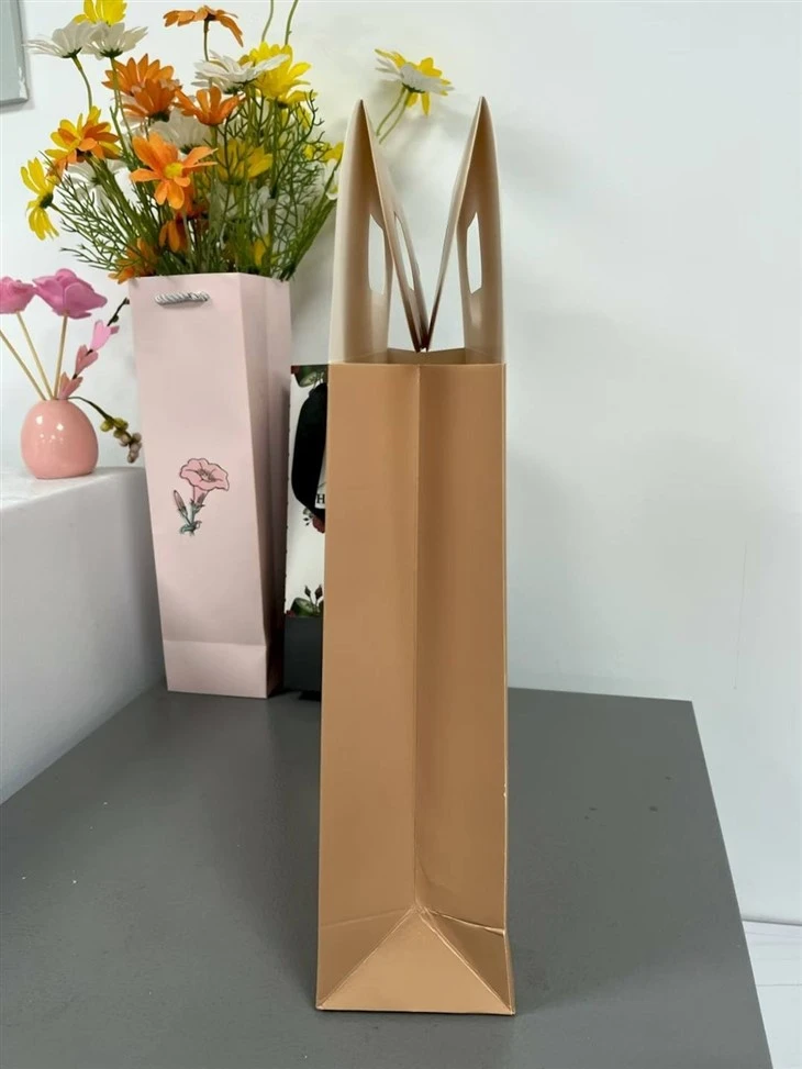 Eco Logo Print Kraft Shopping Bags manufacturers
